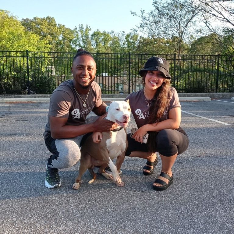 NATIONAL PET DAY!!!: The Braves Star “Ozzie Albies”-The animal whisperer Show his great love and support to the animals of which he gives free medical treatment to…Read More…